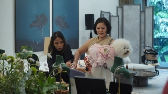 Tren Hunian Pet Friendly di Jakarta: Apa yang Harus Diperhatikan?