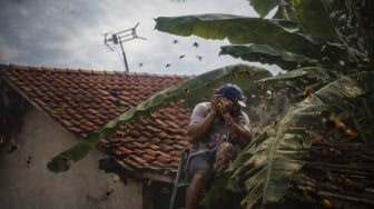 4 Fakta Terkait Tragedi Kematian Slamet Arifianto Warga Sragen Akibat Disengat Tawon Vespa