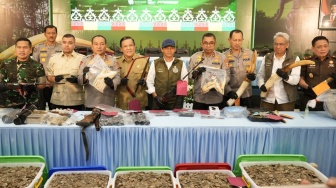 Dalang Pembunuhan Gajah di Pelalawan Dibekuk, Ternyata Buron Kelas Kakap