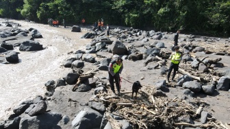 Anjing Pelacak Diterjunkan Cari Korban Hilang Banjir Lahar Hujan di Sungai Senowo