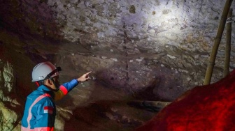 Penampakan Lukisan 44.000 Tahun di Lahan Tambang Milik BUMN