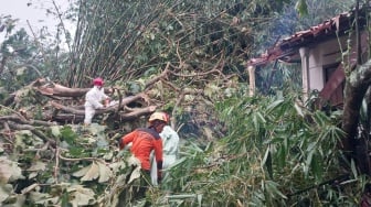 Sleman Dikepung Pohon Tumbang dan Kerusakan Rumah Akibat Angin Kencang