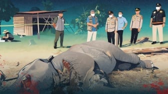 Ironi Berdarah Gajah Tesso Nilo: Dibantai di Hutan, Berakhir di Tangan Mafia Solo