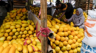 Pedagang menata buah timun suri dan Blewah yang dijual di Pasar Induk Kramat Jati, Jakarta, Jumat (6/2/2026). [Suara.com/Alfian Winanto]