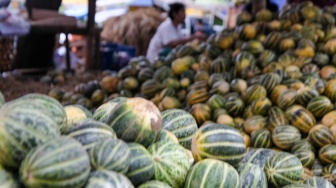 Pedagang menata buah timun suri dan Blewah yang dijual di Pasar Induk Kramat Jati, Jakarta, Jumat (6/2/2026). [Suara.com/Alfian Winanto]