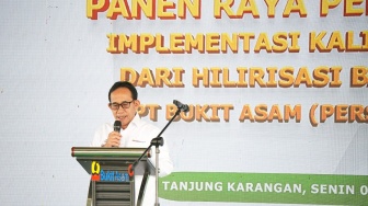 Panen Padi Kalium Humat Jadi Bukti Hilirisasi Batubara Menguatkan Ketahanan Pangan