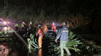 Detik-detik Evakuasi Rosid: Lansia yang Selamat Usai Motornya Dihantam Pohon di Sumedang