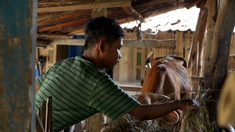 Bisa Beli Motor Berkat Dapur MBG, Penyandang Disabilitas Ini Berdoa Kelak Ketemu Prabowo
