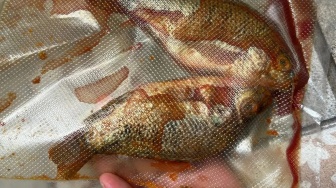 Ikan Nila Mentah Berdarah di Meja Siswa: Skandal MBG di Sukabumi Berujung Sanksi Tegas