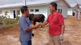 Gubernur Bobby Nasution Salurkan 10 Ekor Sapi untuk Korban Bencana Jelang Lebaran 2026