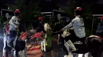 Anti Mainstream, Warga Cirebon Balap Kuda di Jalanan Sambil Tunggu Sahur