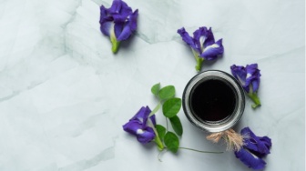 Panduan Lengkap: Dari Keringkan Sampai Jadi Bubuk, Cara Mengolah Bunga Telang di Rumah