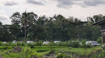 Hindari Macet JogjaSolo, Ratusan Pemudik Pilih Jalur Sawah di Purwomartani Menuju Tol