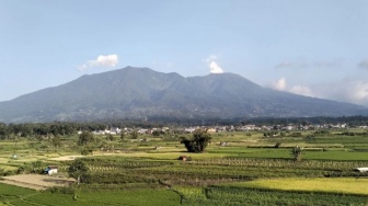 Gunung Marapi Erupsi Lagi, Aktivitas Vulkanik Terekam Dua Kali Sehari