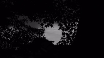 Pocong Berkain Putih Bersih di Rumpun Bambu Belakang Rumah Paklek Randi