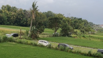 Andalkan Google Maps, Pemudik Arus Balik Malah Nyasar ke Jalan Sawah Menuju Tol Jogja-Solo
