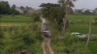 Puluhan Mobil Pemudik Nyasar ke Tengah Sawah Usai Ikuti Arahan Google Maps