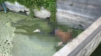 Seorang Pria Ditemukan Tewas Mengambang di Kubangan Air Limbah Pemotongan Hewan Ternak Cengkareng