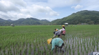 BRI Dorong Ekonomi Desa Manemeng, Semangat Marenta Barmak Hidupkan UMKM & Klaster Usaha