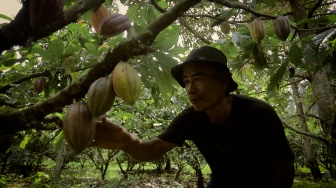 Sentuhan BRI Dorong Sausu Tambu Jadi Desa Berdaya Berbasis Pariwisata dan UMKM