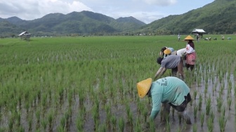 Desa Manemeng Perkuat Ekosistem Ekonomi Kerakyatan melalui Program Desa BRILiaN