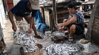 Pengrajin ikan asin menggarami ikan asin bilis di Kalibaru, Cilincing, Jakarta, Senin (30/3/2026). [ANTARA FOTO/Sulthony Hasanuddin/bar]
