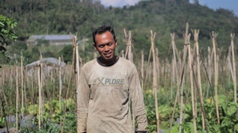 Desa BRILian Sumowono Hadirkan Sayuran Segar bagi Masyarakat, Ini Profilnya