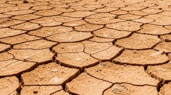 Perubahan Iklim Tingkatkan Risiko Kematian, Negara Miskin Paling Terdampak