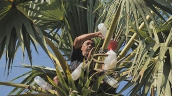 Program Desa BRILiaN BRI Jadi Motor Penguatan UMKM dan Wisata Desa Hendrosari Gresik