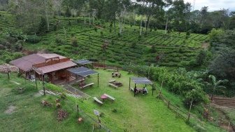 Dari Alam ke Ekonomi Desa, Program BRI Desa BRILiaN Angkat Potensi Desa Tugu Selatan