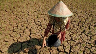 Kenalan sama Godzilla El Nino, Fenomena Iklim Dampaknya Sampai Indonesia?