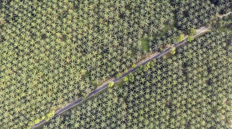 Konflik Timur Tengah Paksa Pemerintah Terapkan B50 di Juli Tahun Ini