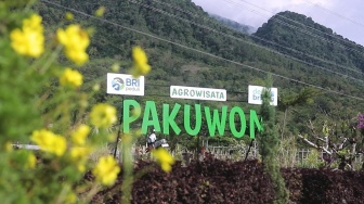 BRI Lewat Program Desa BRILiaN Sukses Dorong Ekonomi Lokal Desa Pajambon Kuningan