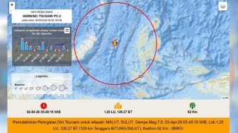 Tsunami Terjadi di Halmahera Barat dan Bitung, Begini Ketinggiannya