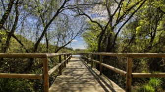 Diklaim Ramah Lingkungan, Ekowisata Justru Berisiko Gagal Redam Emisi Karbon Global: Mengapa?