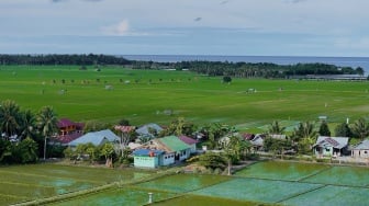 Dari Potensi Lokal ke Prestasi Nasional, Desa BRILiaN Sausu Tambu Perkuat Ekonomi Pesisir