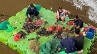Siomay Sapu-Sapu: Antara Kreativitas Kuliner dan "Jebakan Batman" Kesehatan