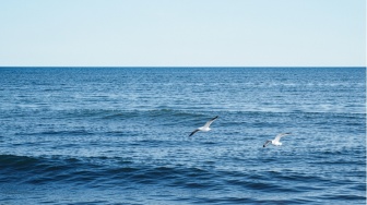 Lautan Serap Energi Berlebih, Jadi Ancaman Serius bagi Pangan Global: Kenapa?