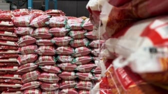 Stok Pangan RI Aman hingga 11 Bulan ke Depan Hadapi El Nino Godzilla