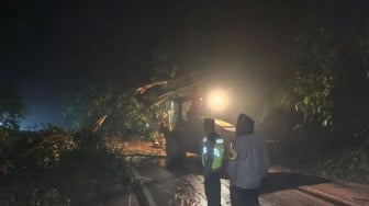 Jalan Lintas Sungai Penuh-Tapan: Sempat Lumpuh Akibat Longsor, Kini Kembali Dapat Dilalui