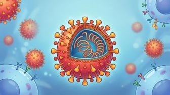 Alarm Merah Campak 2026: Mengapa Penyakit Kuno Ini Kembali Menghantui Indonesia?