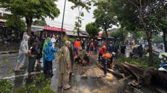 Waspada Cuaca Ekstrem di Kota Jogja, Pohon Tumbang hingga Banjir Lokal Berpotensi Mengancam