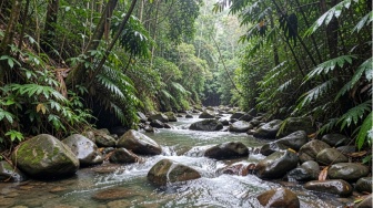 Hilangnya Hutan Bikin Air Mengalir Lebih Cepat ke Sungai, Apa Dampaknya bagi Kita?