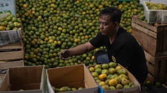 Berkah MBG! Pedagang Jeruk Pasar Gede Solo Raup Cuan, Penjualan 7 Ton Sehari