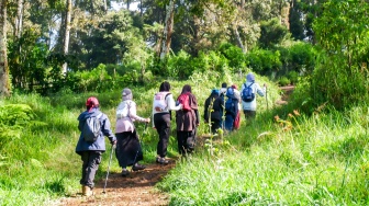 Menaklukkan Gunung Malabar: Dari Sabana Indah hingga Tanjakan Mematikan