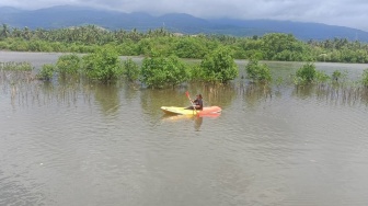 Jaga Kelestarian Alam, Ekowisata Mangrove di Lombok Timur Ini 'Mengalah' Demi Napas Lingkungan