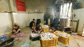 Kisah UD Syafina: Berdayakan Warga Lokal dan Peternak Berkat Program Makan Bergizi Gratis