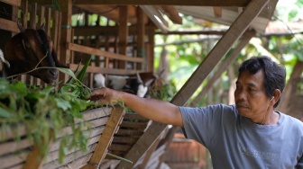 Di Balik Dapur MBG, Perjuangan Agus Menghidupi Keluarga dan Melunasi Utang