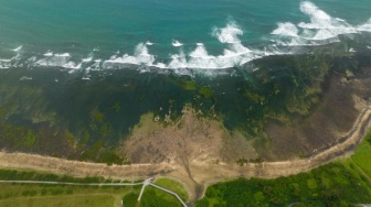 Dinilai Lebih Cepat dan Presisi, Bagaimana Teknologi AI BRIN Bantu Petakan Pesisir Pantura?