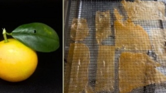 BRIN Ubah Jeruk Jadi Lembaran Pangan Masa Depan